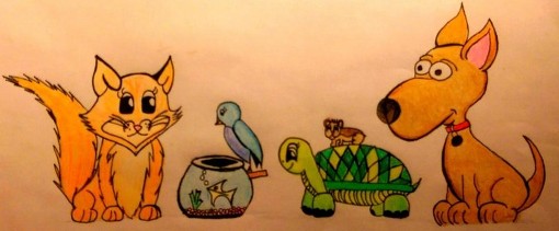 pet sitting dogs cats birds and turtles